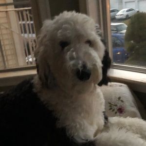 Meet your Posher, Mark